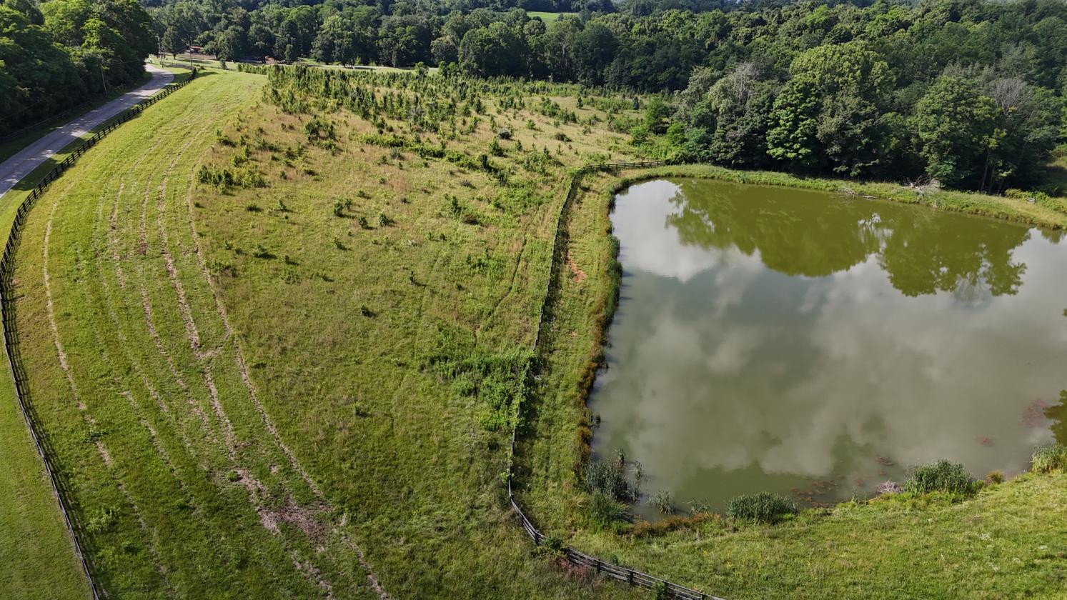 Large Acreage With Buildable Lots On 2 Roads - photo 6