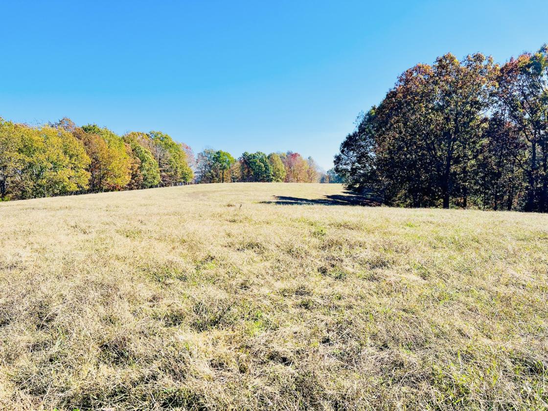 252 ACRES M/L NEAR LAKE CUMBERLAND - photo 8