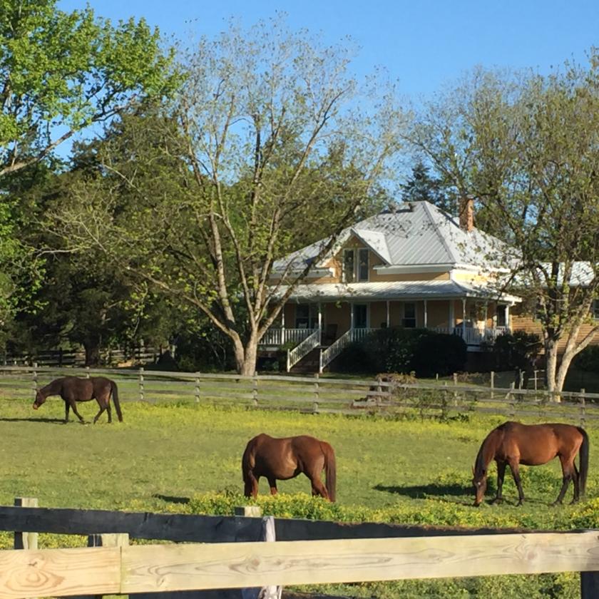 62+ Ac. Horse Property for Sale with Amazing Views - photo 1