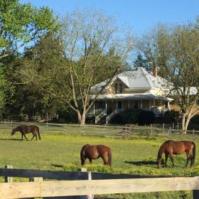Property image.
