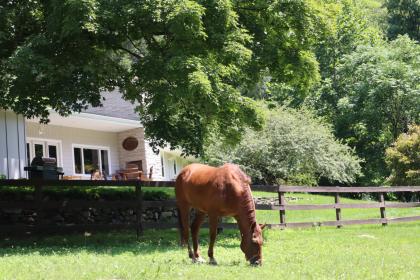 Property image.
