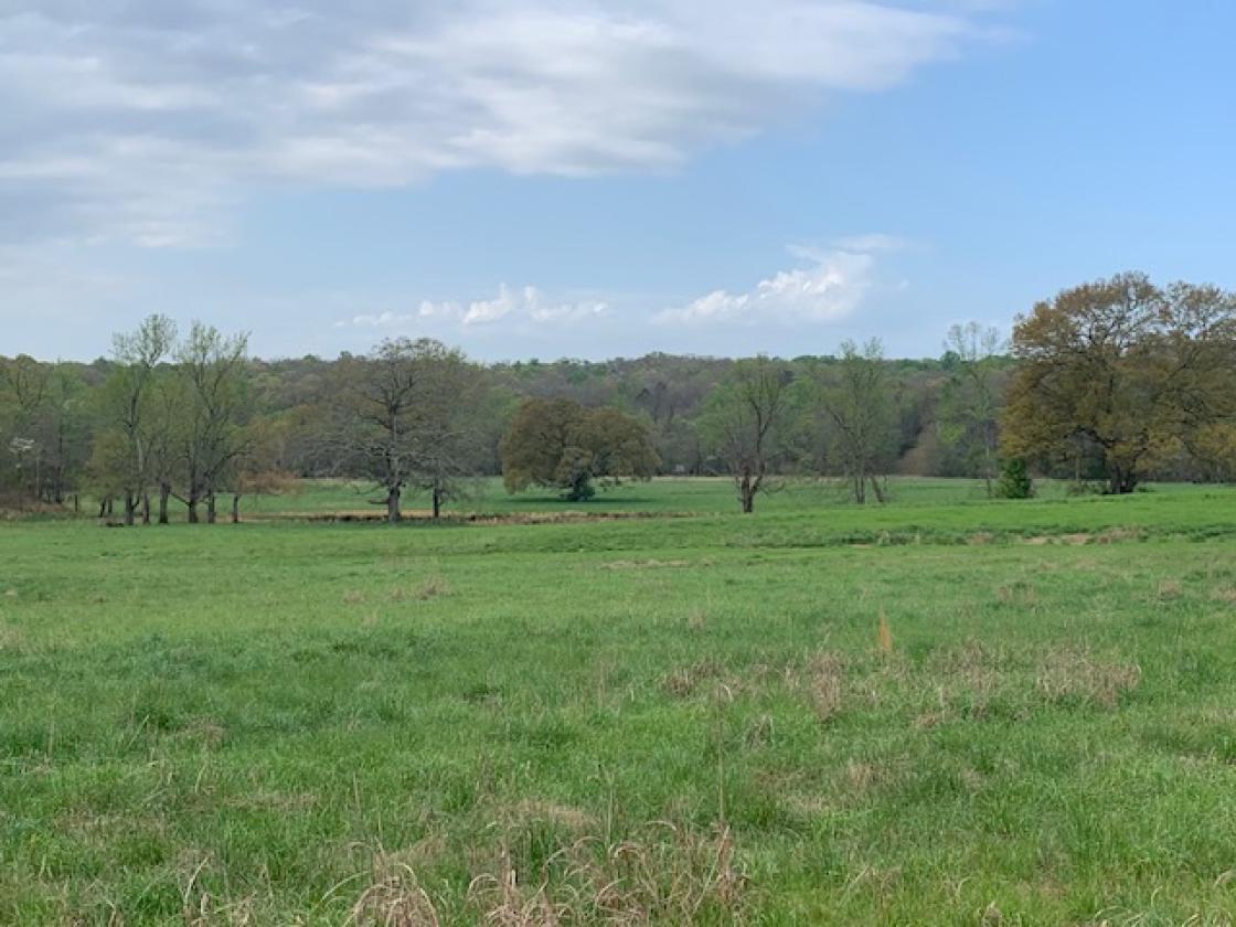 Madison County - Large Estate Farm - photo 3