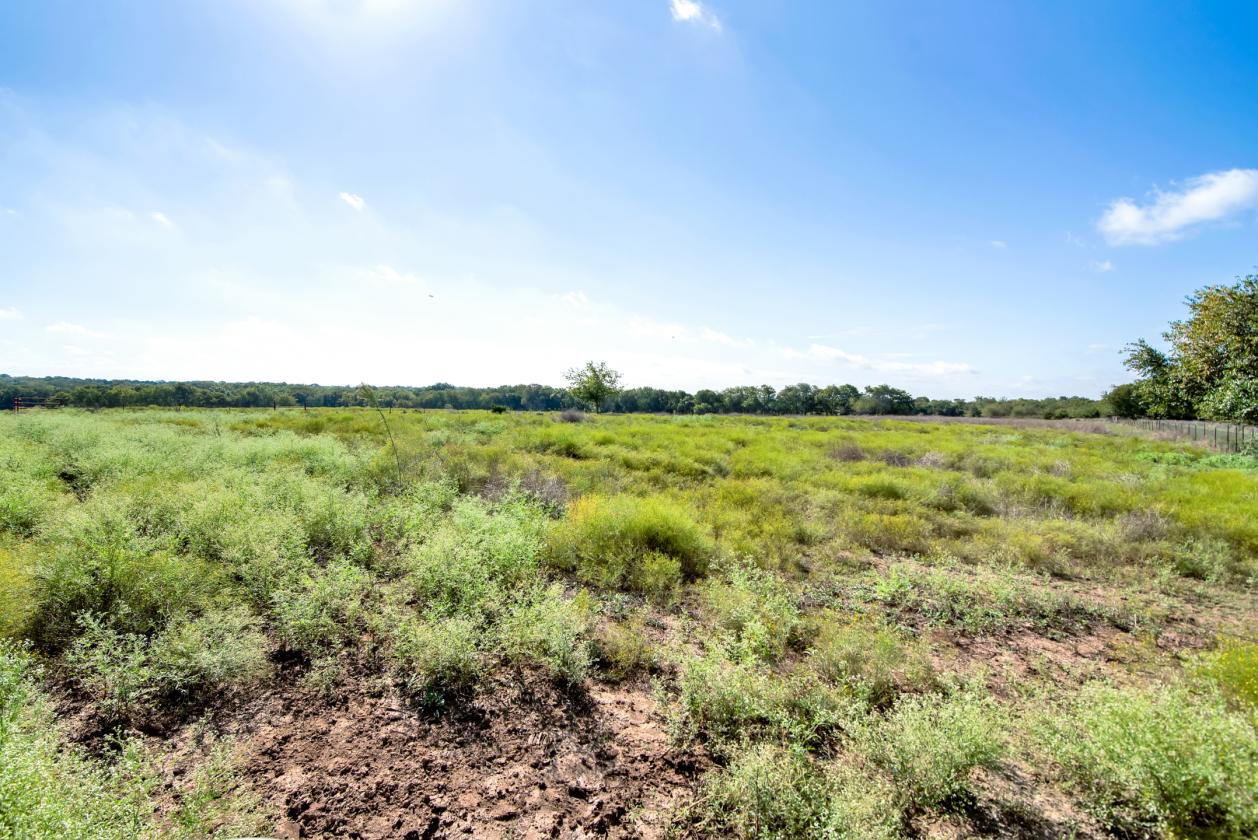 8.25 Acre Horse Property with Cozy Ranch House - photo 17