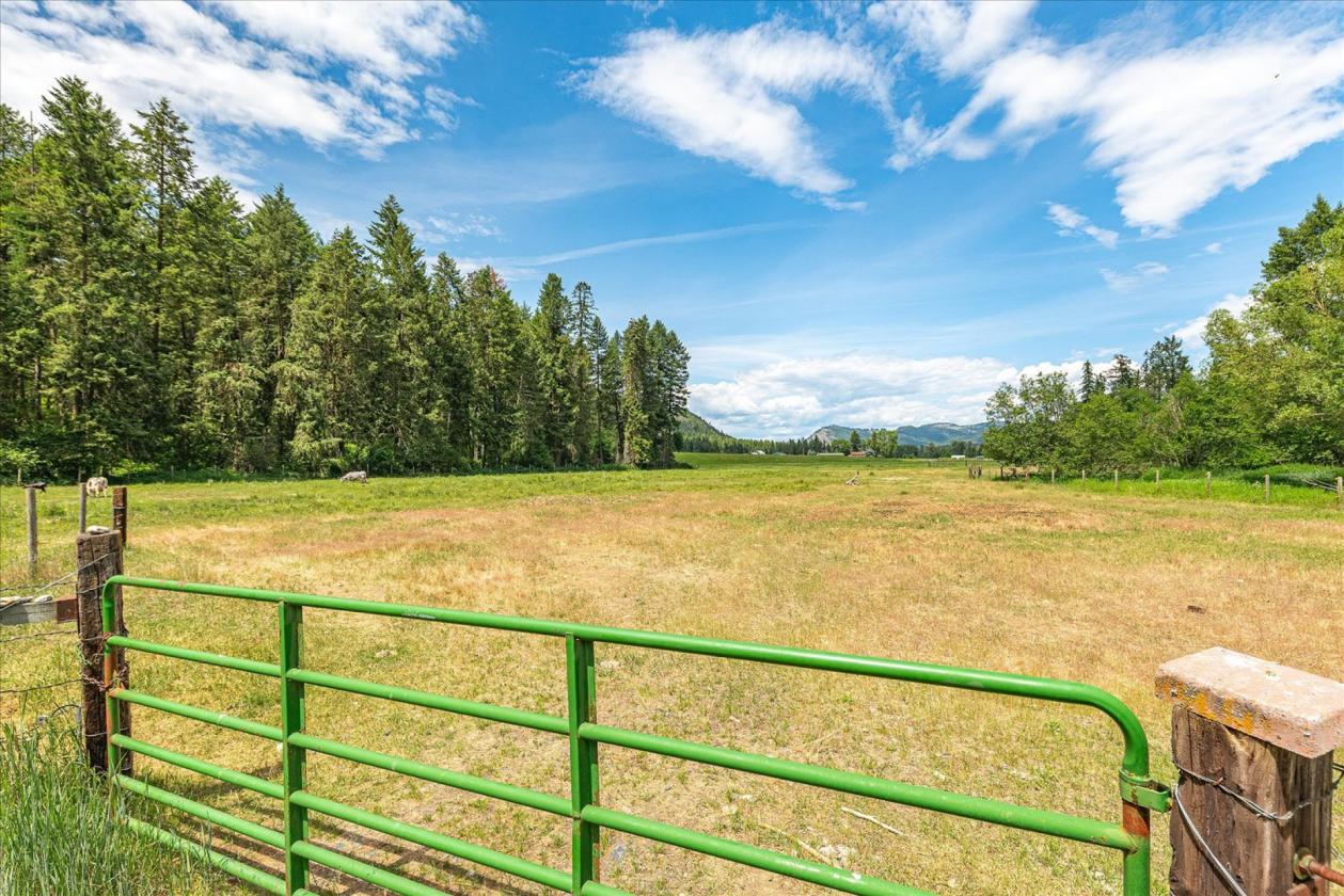 One-of-a-kind Custom Home! 16+ Acres on Mill Creek - photo 5