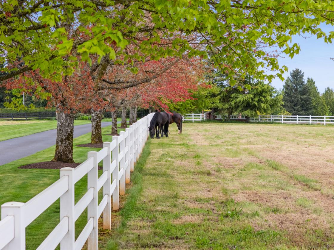 Five Peaks Farm — where agrarian life thrives! - photo 7