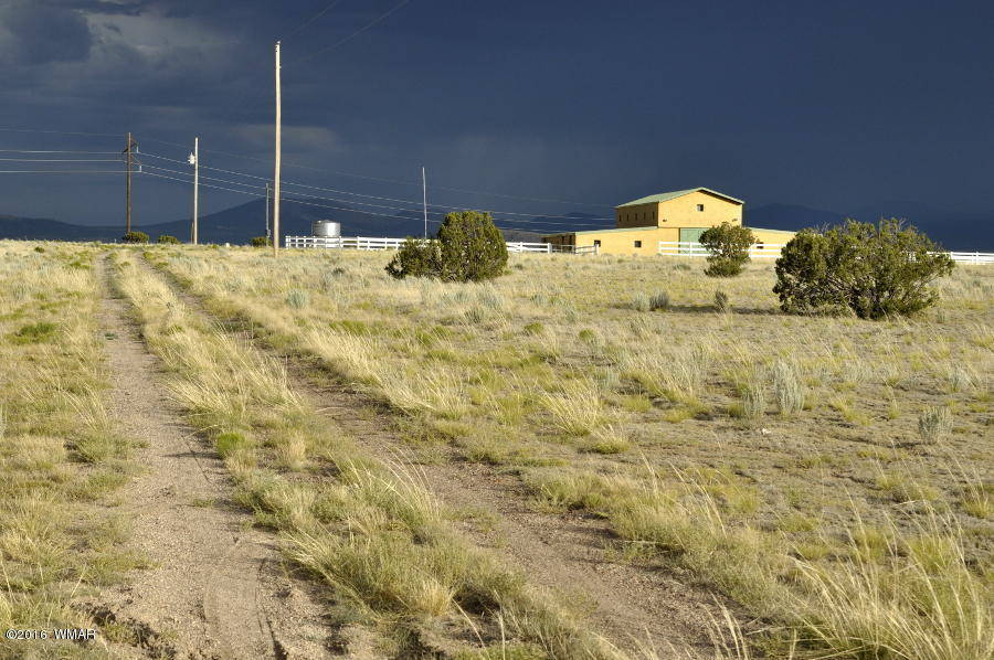Arizona/Concho Valley Horse Property Extraordinaire! Concho, Apache County, Arizona