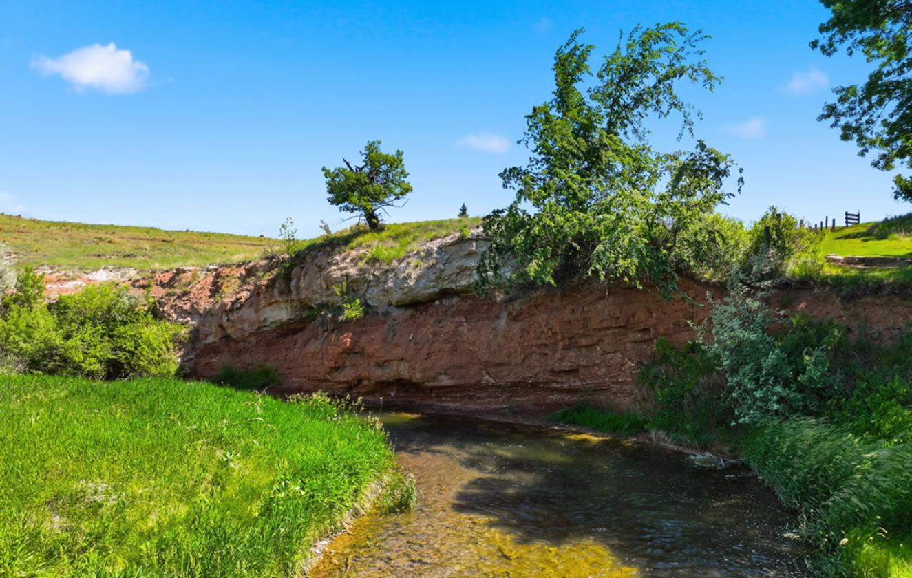 Nearly 38 Acres on Spearfish Creek - photo 11