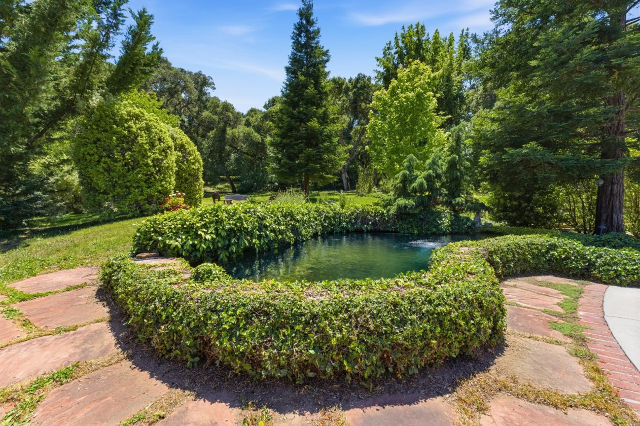 5 Acre Estate in the heart of Carmel Valley - photo 18