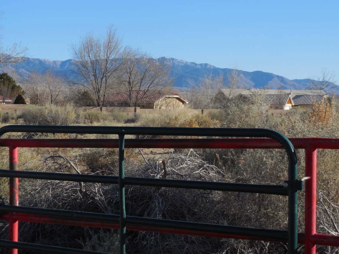 Corrales Horse Property Corrales, Sandoval County, New Mexico