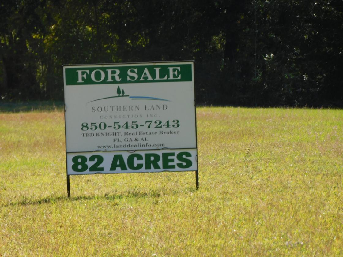 Croom Land - photo 6