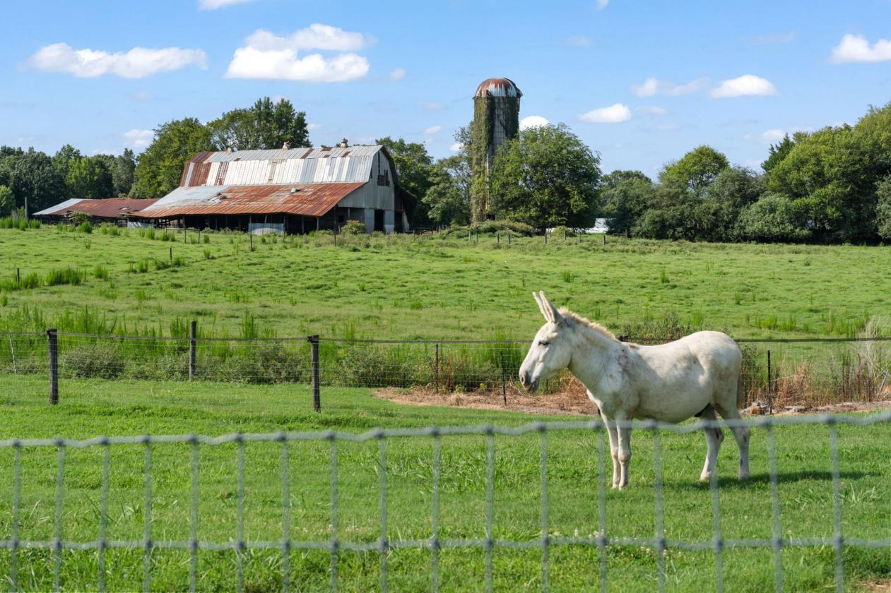 NEW PRICE!!  Equestrian Farm on Over 7 Acres - photo 4
