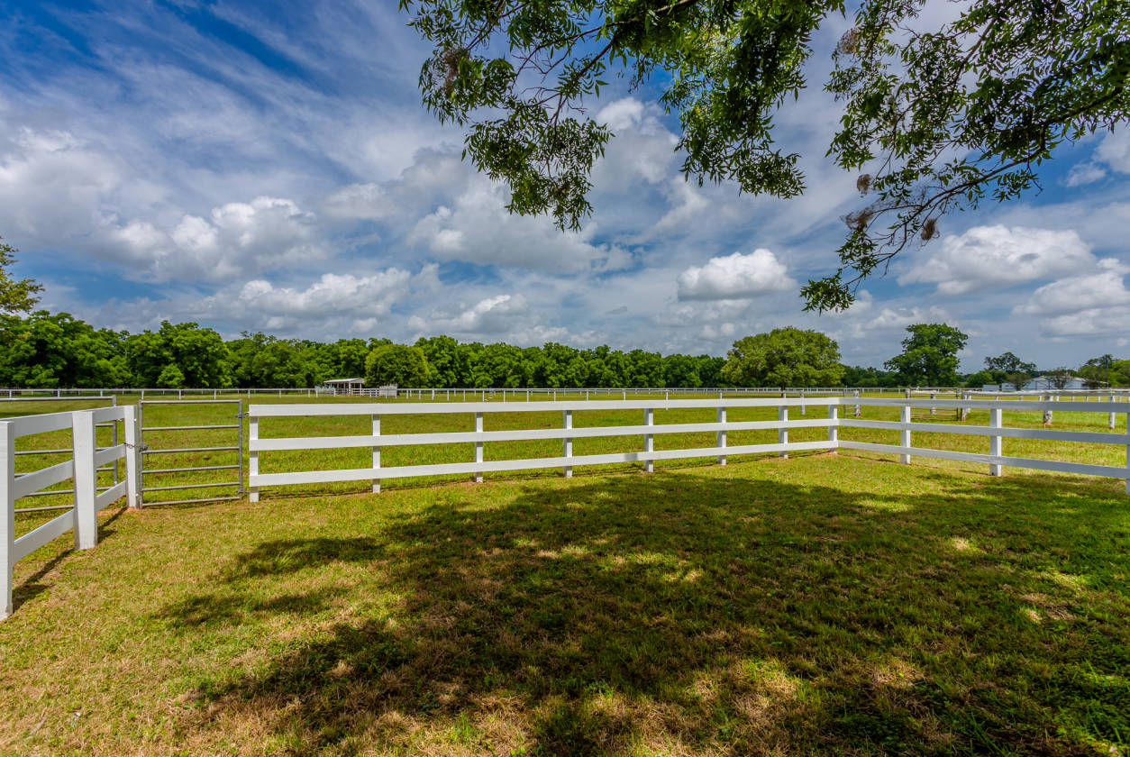 Horse Property in much desired Fulshear Texas Richmond, Fort