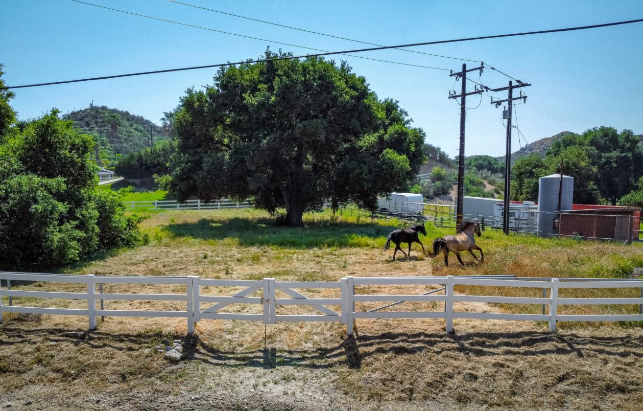 Sand Canyon Horse Property | 2.5 Acres & 4 Stalls - photo 2