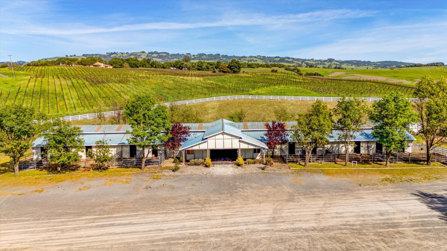 Where World-Class Pinot Meets Premier Equestrian - photo 12