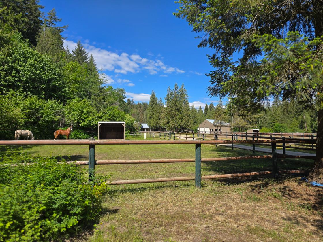Equestrian Dream Estate - photo 29