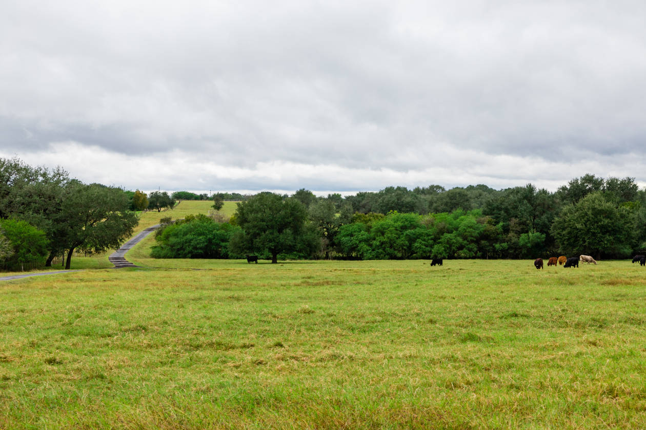 Rocking C Ranch | Kenedy, Karnes County, Texas | HorseProperties.net