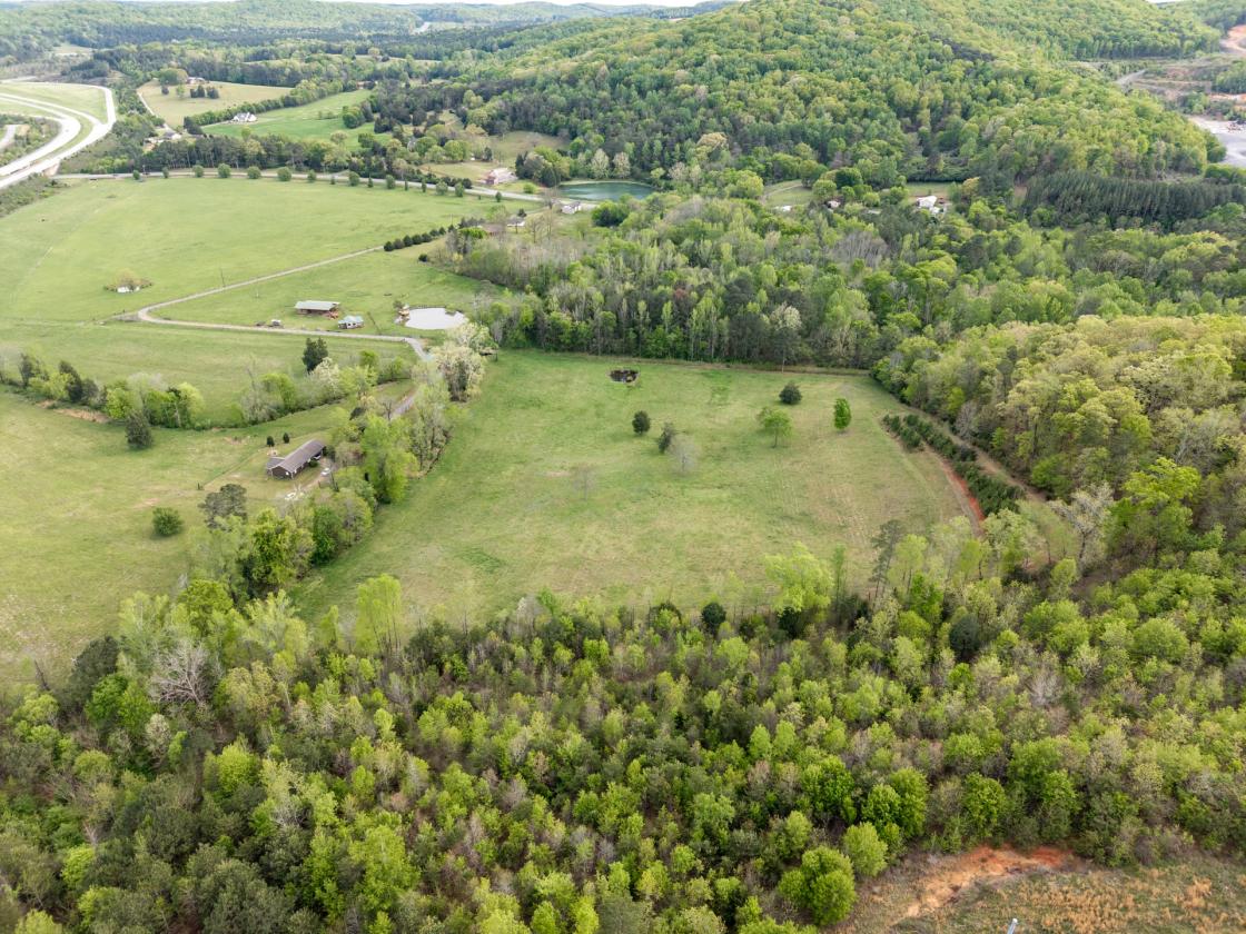 54 Acre Farm with 2 Houses - photo 14