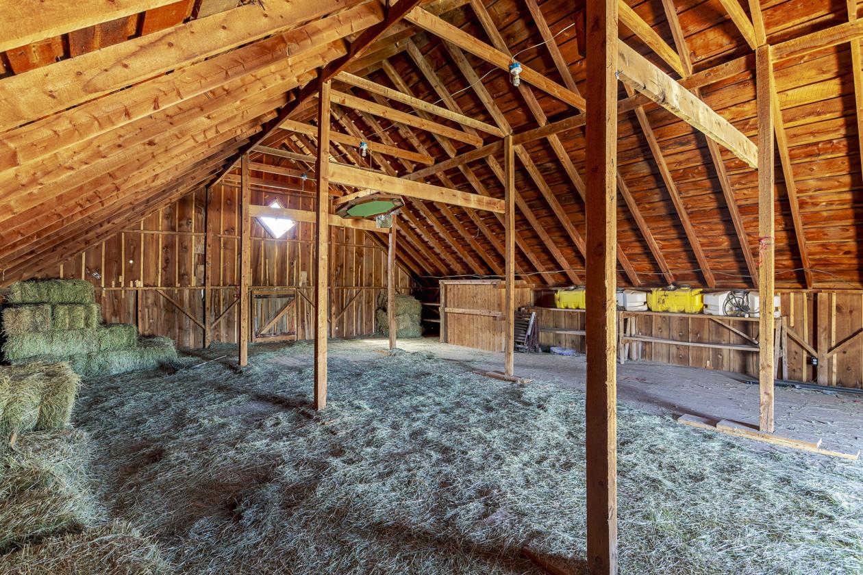 Well-situated Equine property with Frontrange view - photo 15