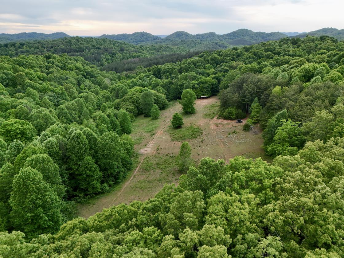 Custom Home On 271.28 Acres - photo 2