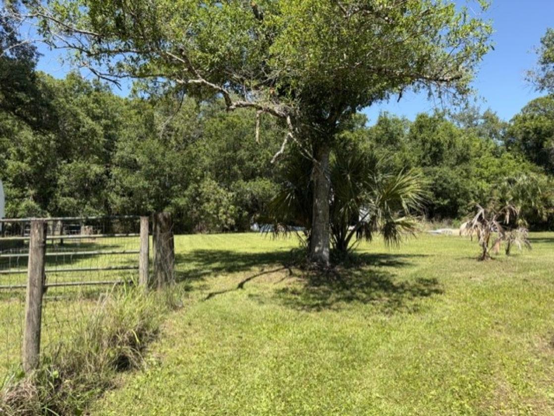 Horse Property with new guest house and 10 stalls - photo 21