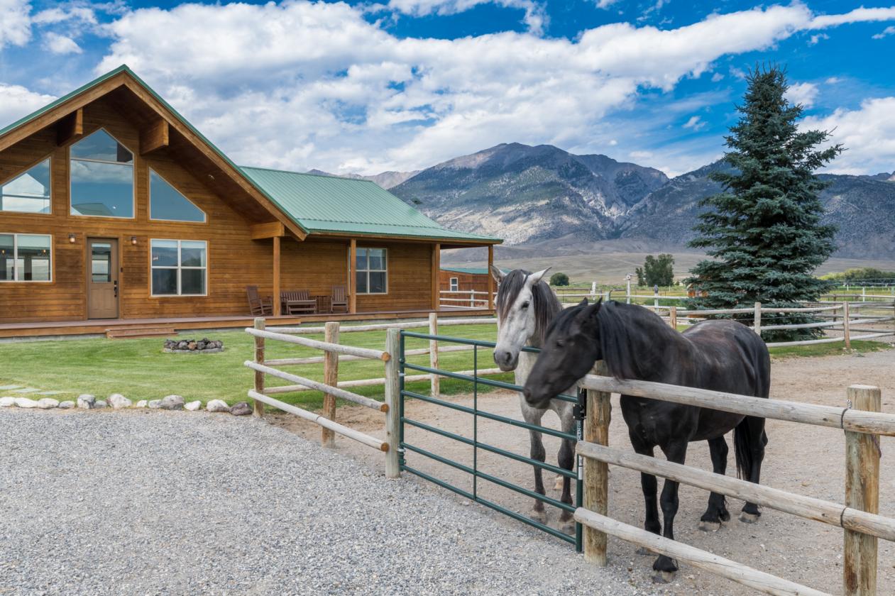 Turnkey Equestrian Estate, Stunning Views - photo 14