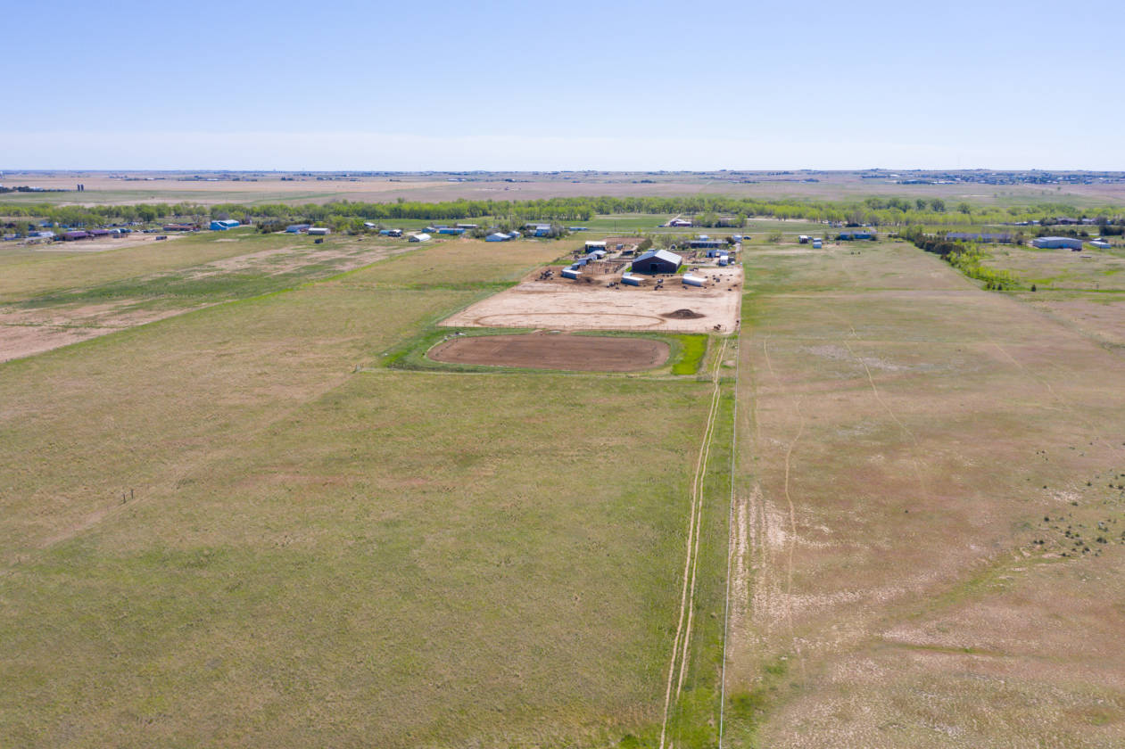Well Established Boarding Facility in Watkins, Colorado Watkins