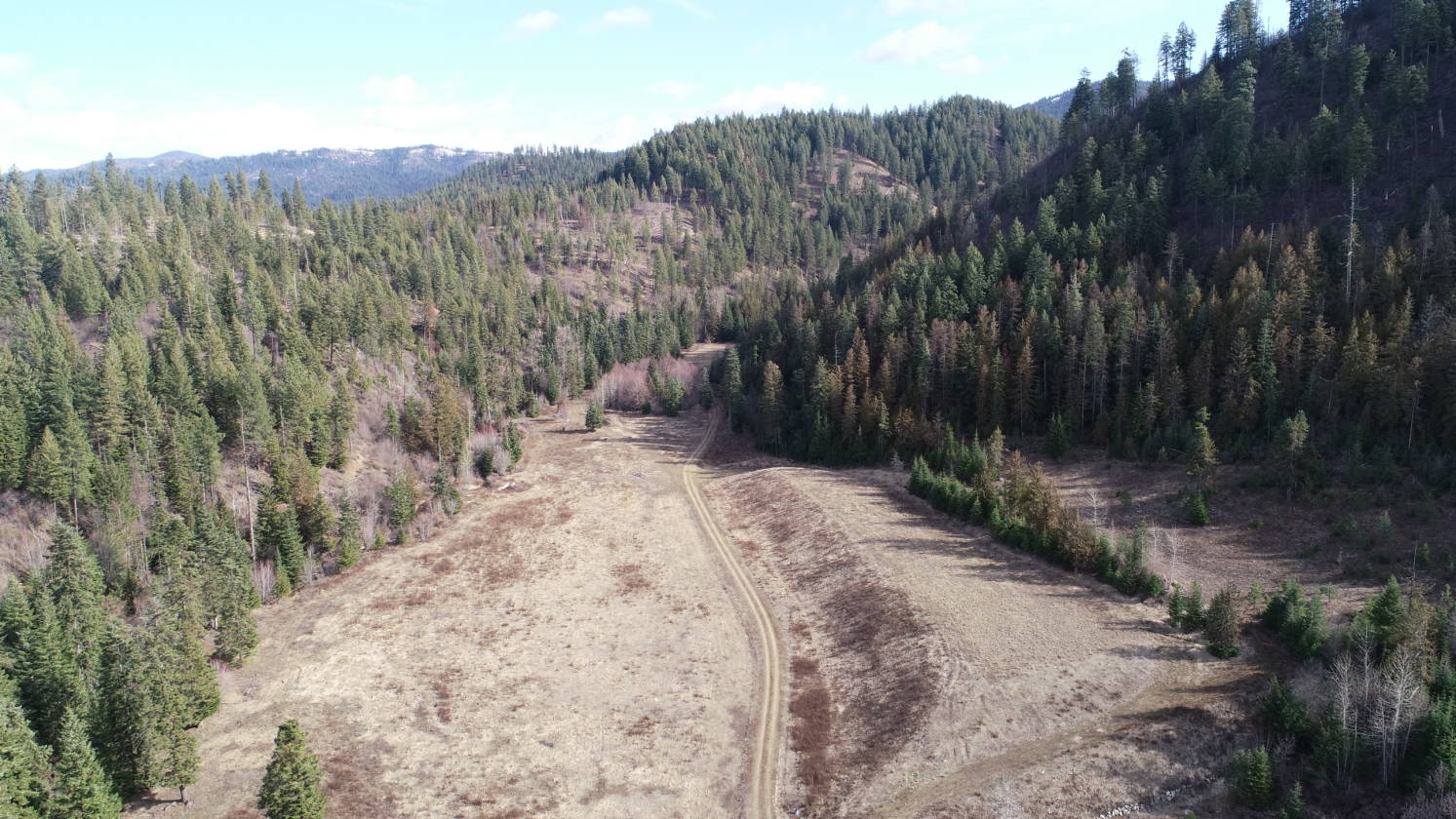 Vacant land Potential horse property Hayden, Kootenai County, Idaho