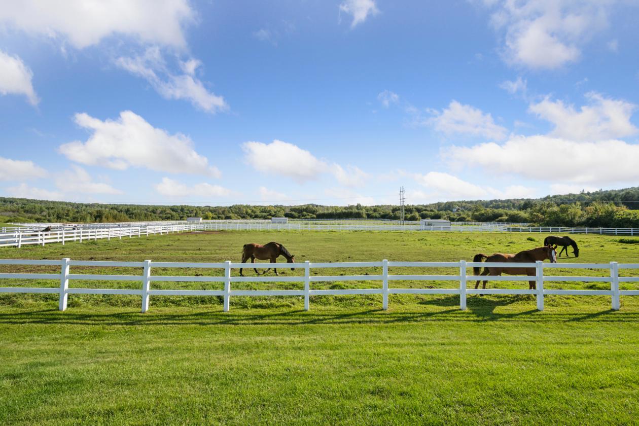 Spring Hill Farm on 98 Acres - photo 19