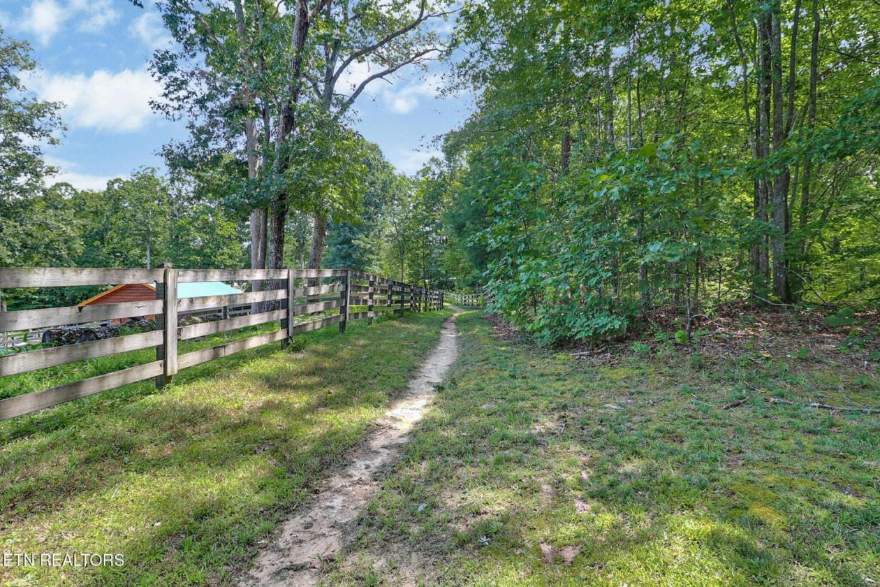 Cozy cabin in the woods, Big South Fork - photo 26