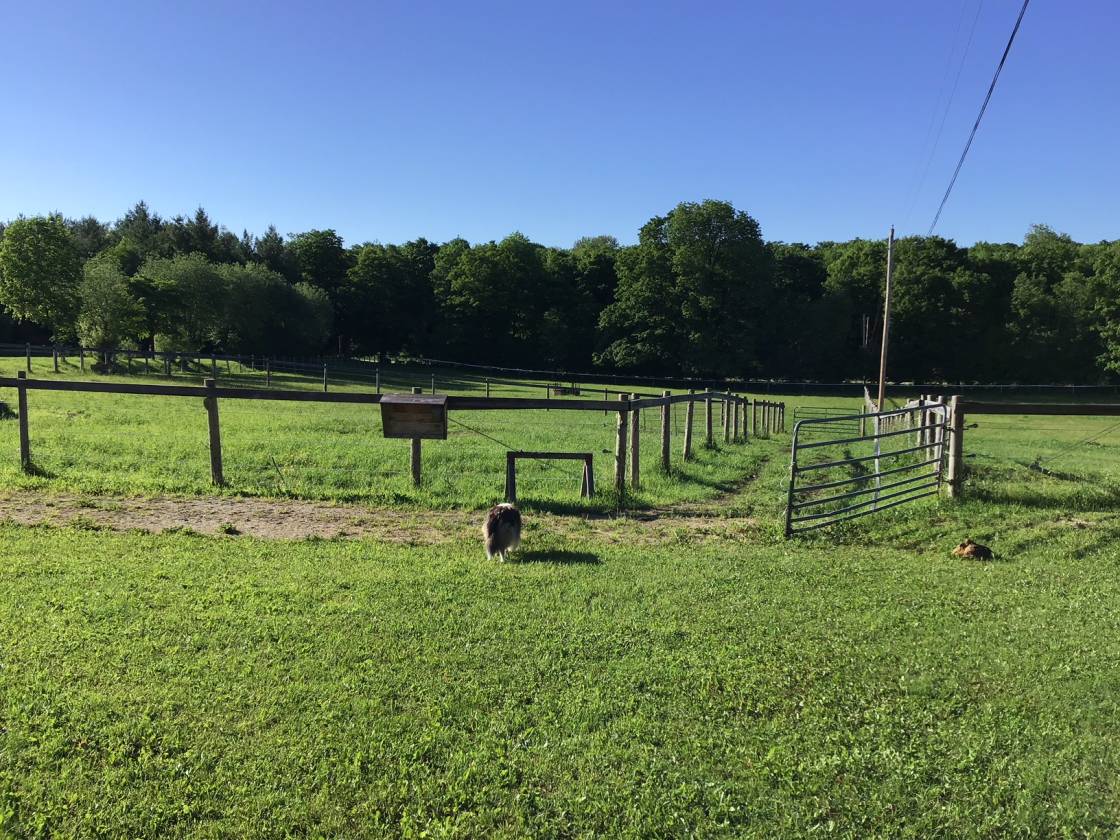 Equestrian Paradise with Renovated Farmhouse CDN 1,480,000.00 The