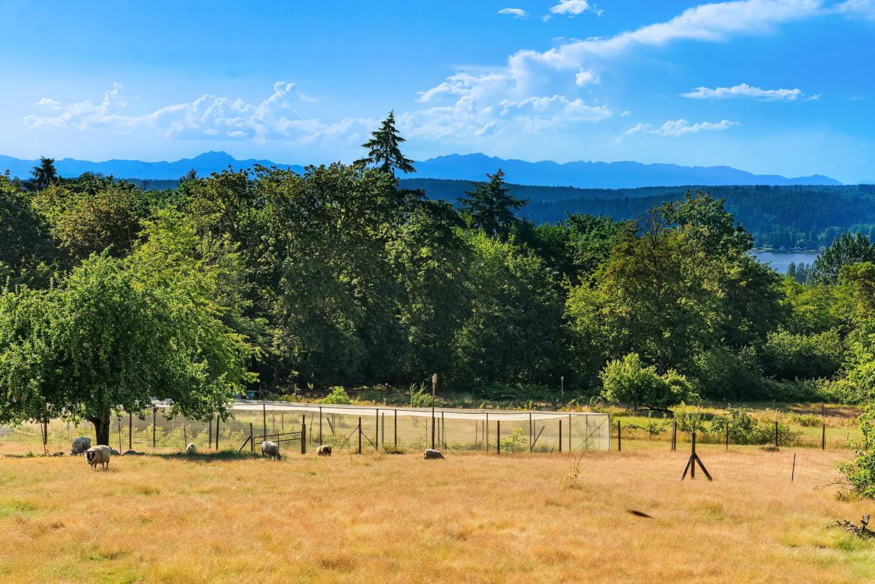 View Farm with Acreage, Apartment & Barn - photo 6