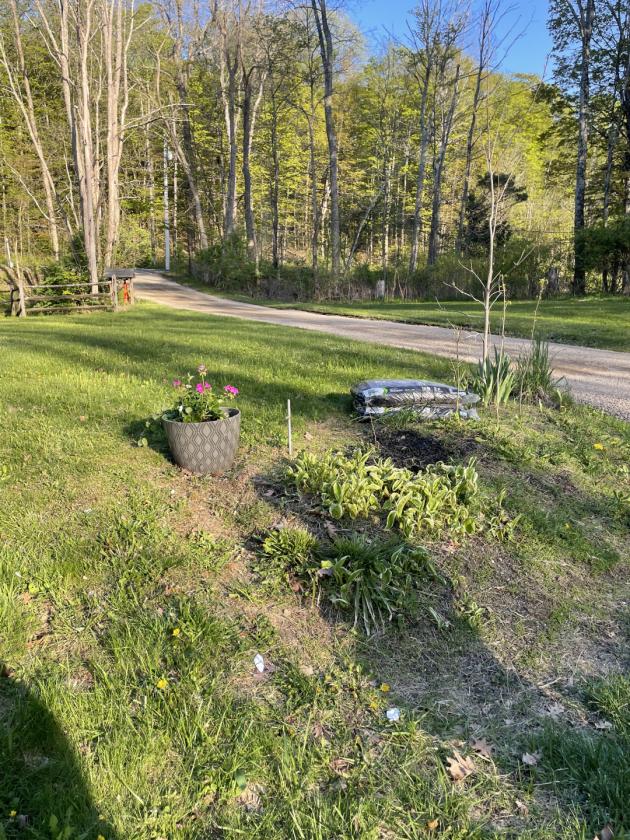 Homesteading Property - photo 28