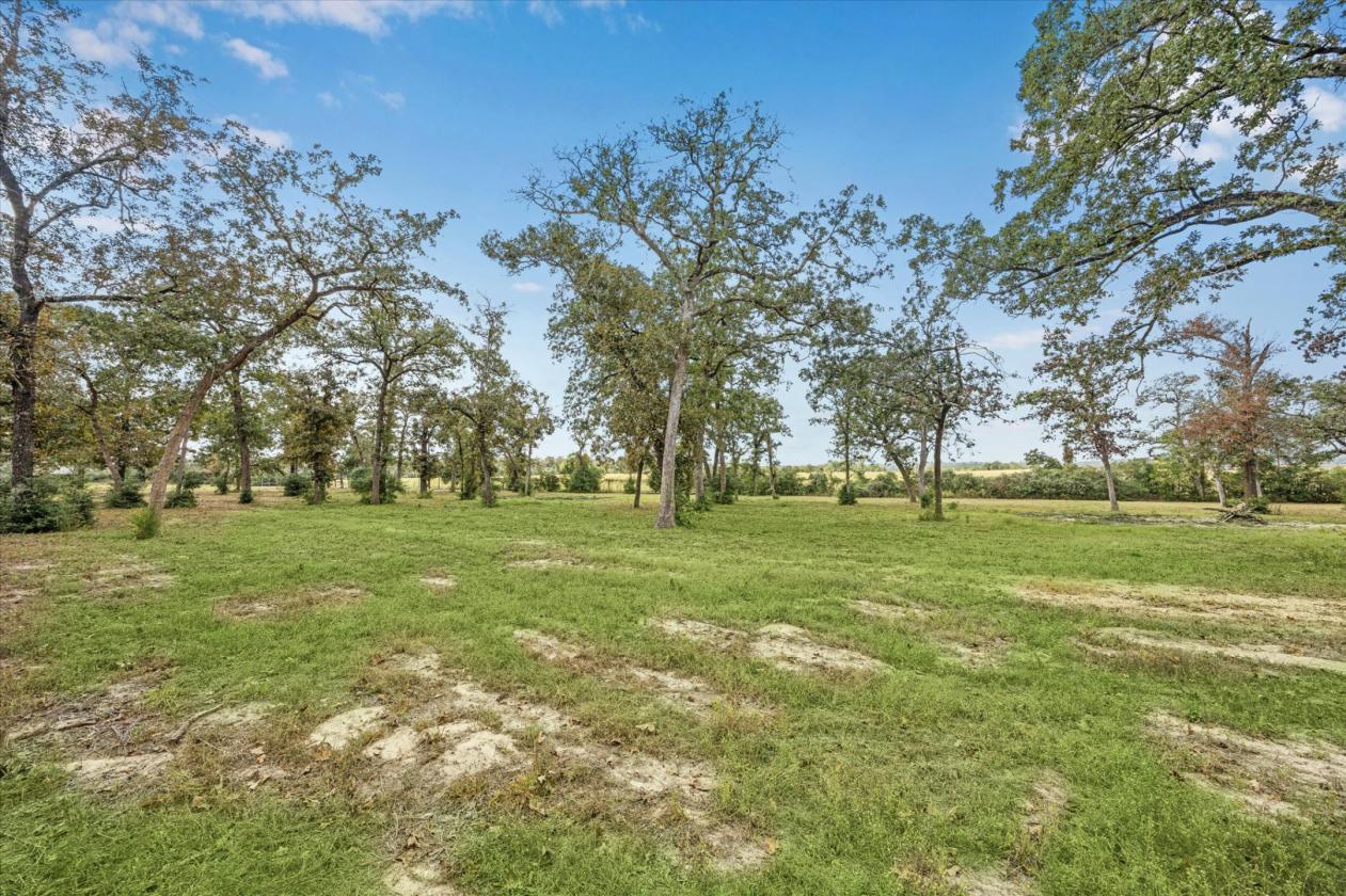 Beautiful Horse Barn on 5.2 Acres - photo 9