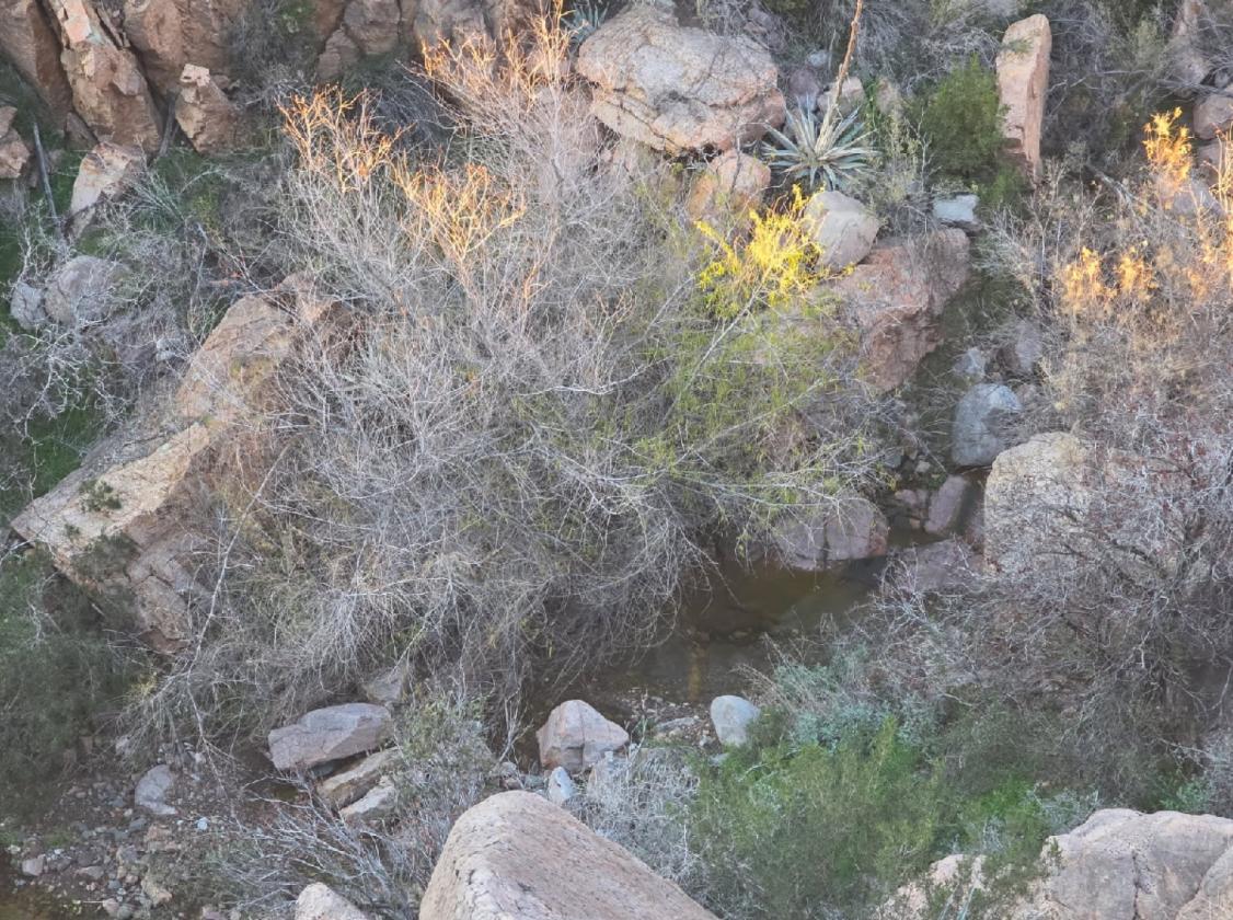 642 Acres El Capitan Canyon Ranch - photo 23