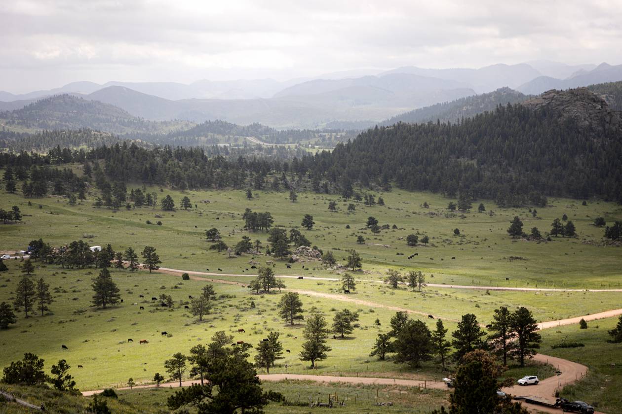 Lots in luxury, gated, mountain community - photo 4