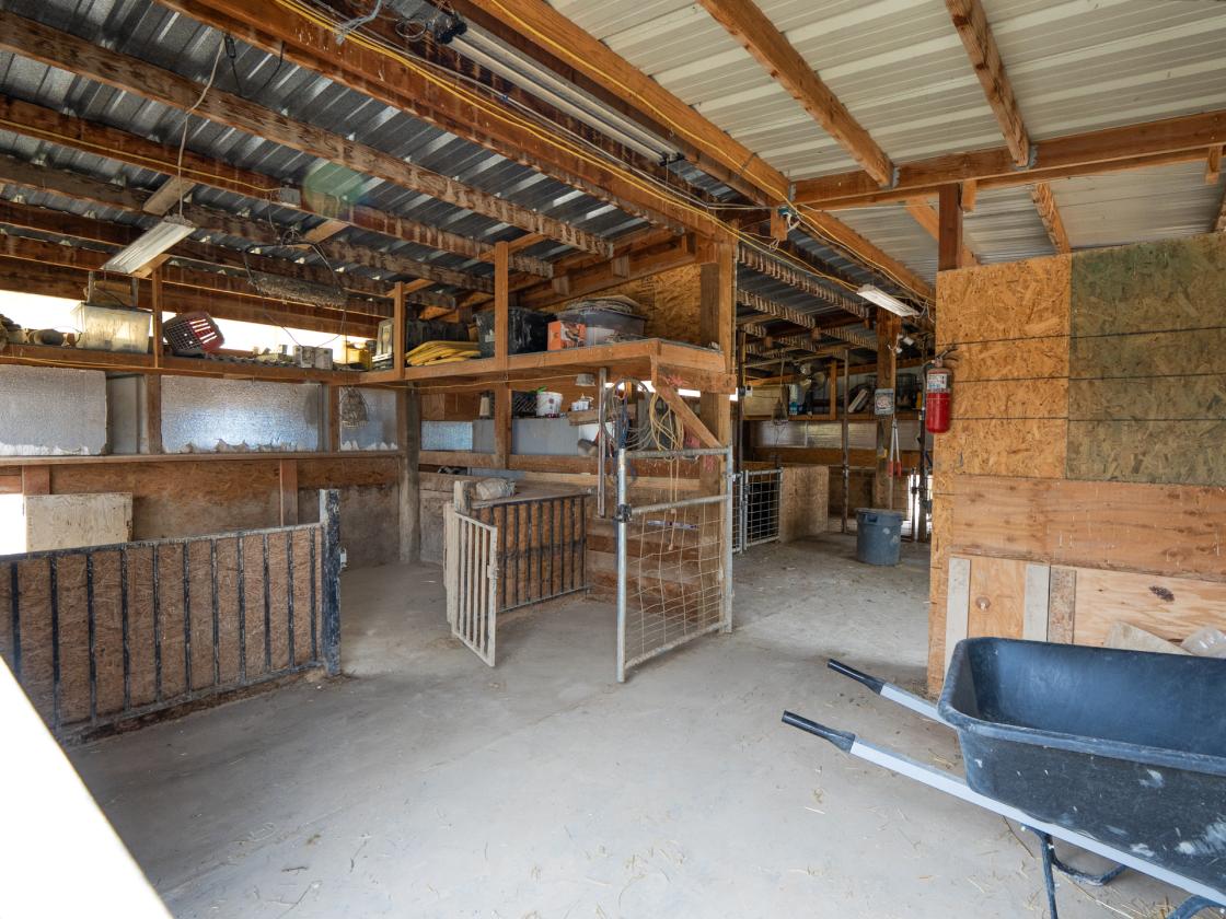 Horse Property on 10 Acres - photo 13