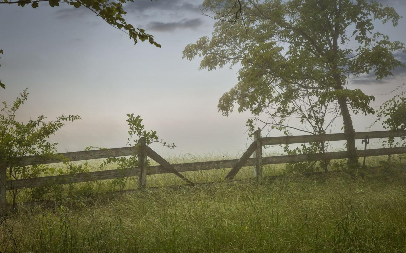 Historic Land, Barn, Home, Award Winning Schools - photo 10