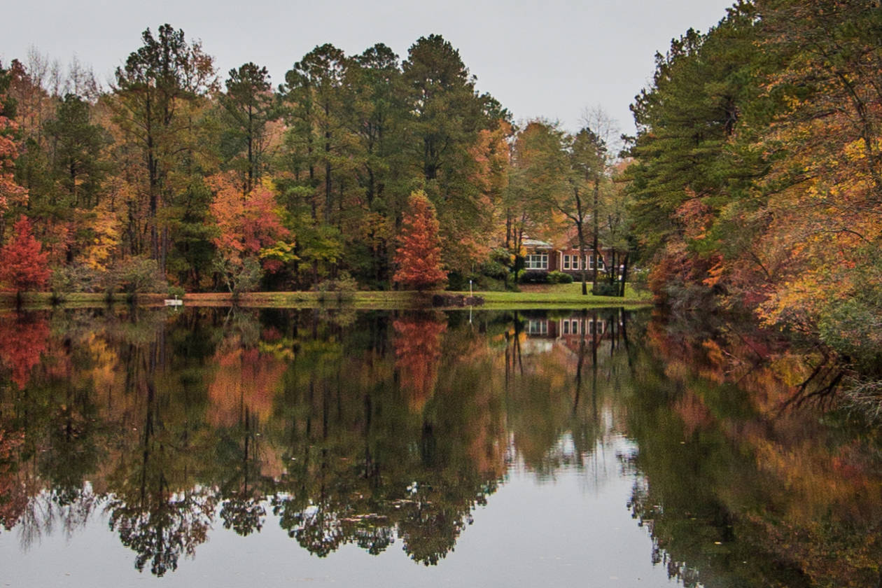 Private Setting on 25+ Acres! Blythewood, Richland County, South