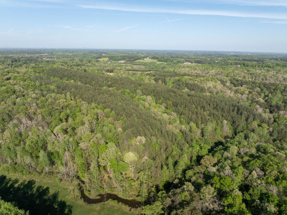 169 Acres, pastures, creeks, pond sites and trees - photo 18