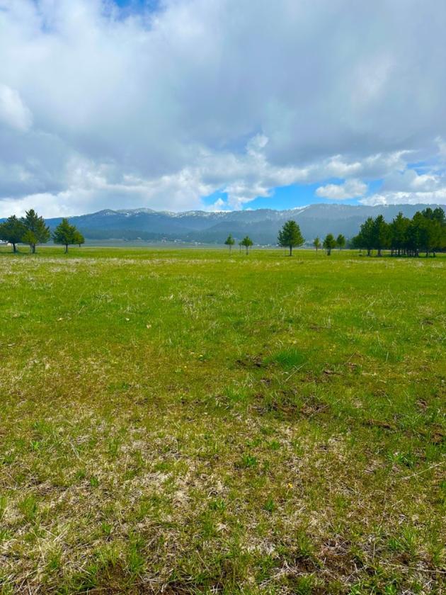Property with a view - photo 2