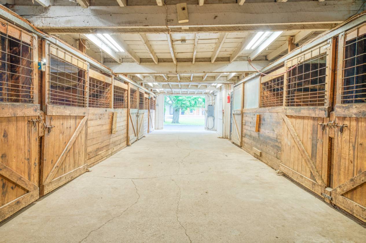 DUAL residence equine facility! - photo 10