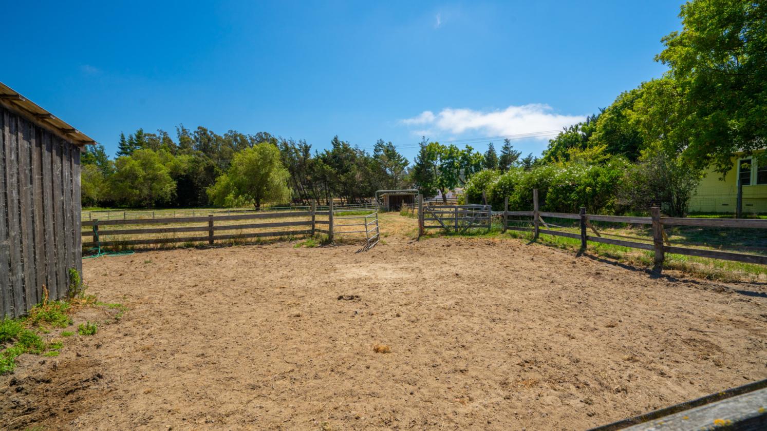 Beautiful 10 Acre Horse Property - photo 24