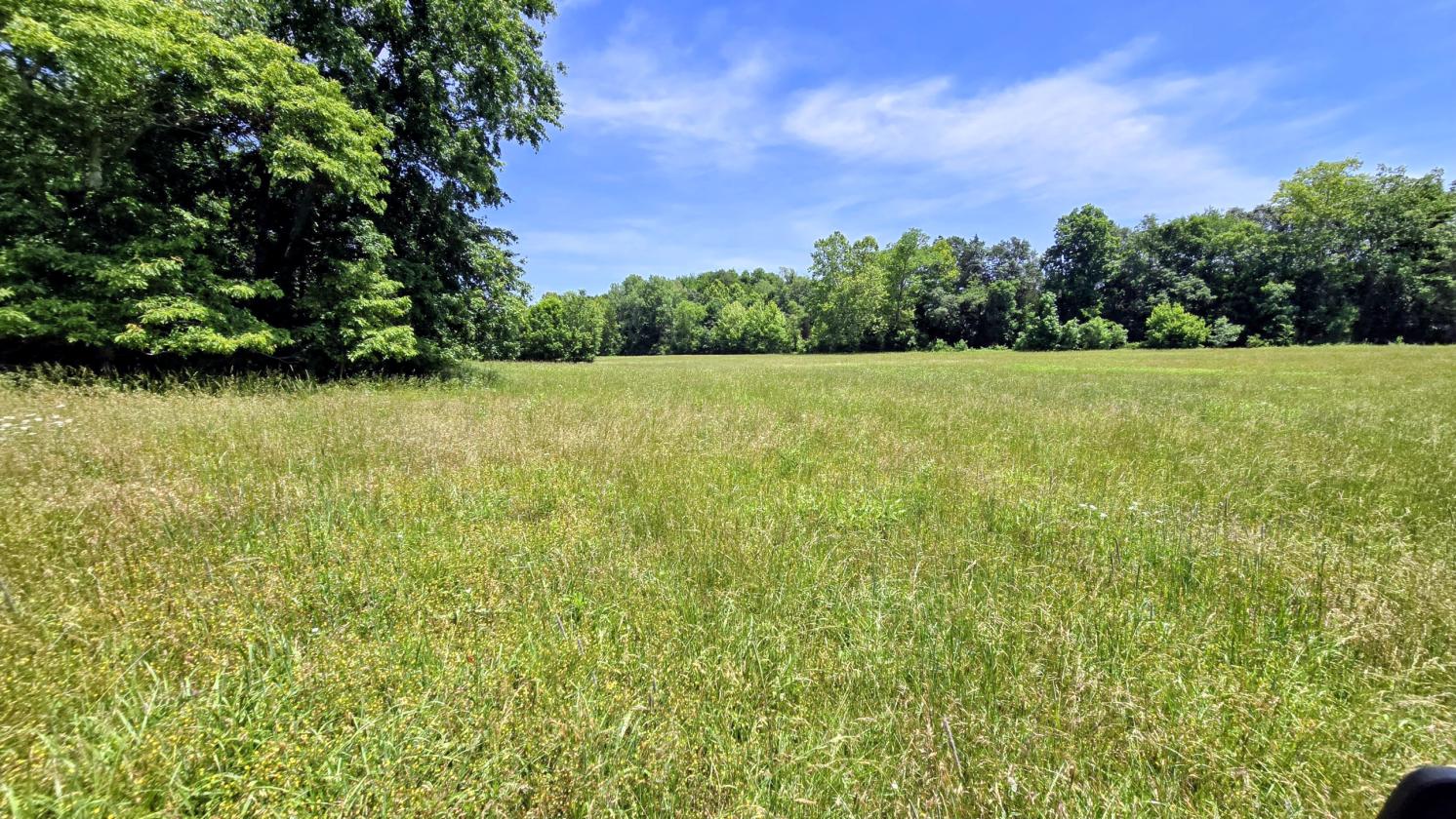 Large Farm Property With Water And Electric Onsite - photo 24