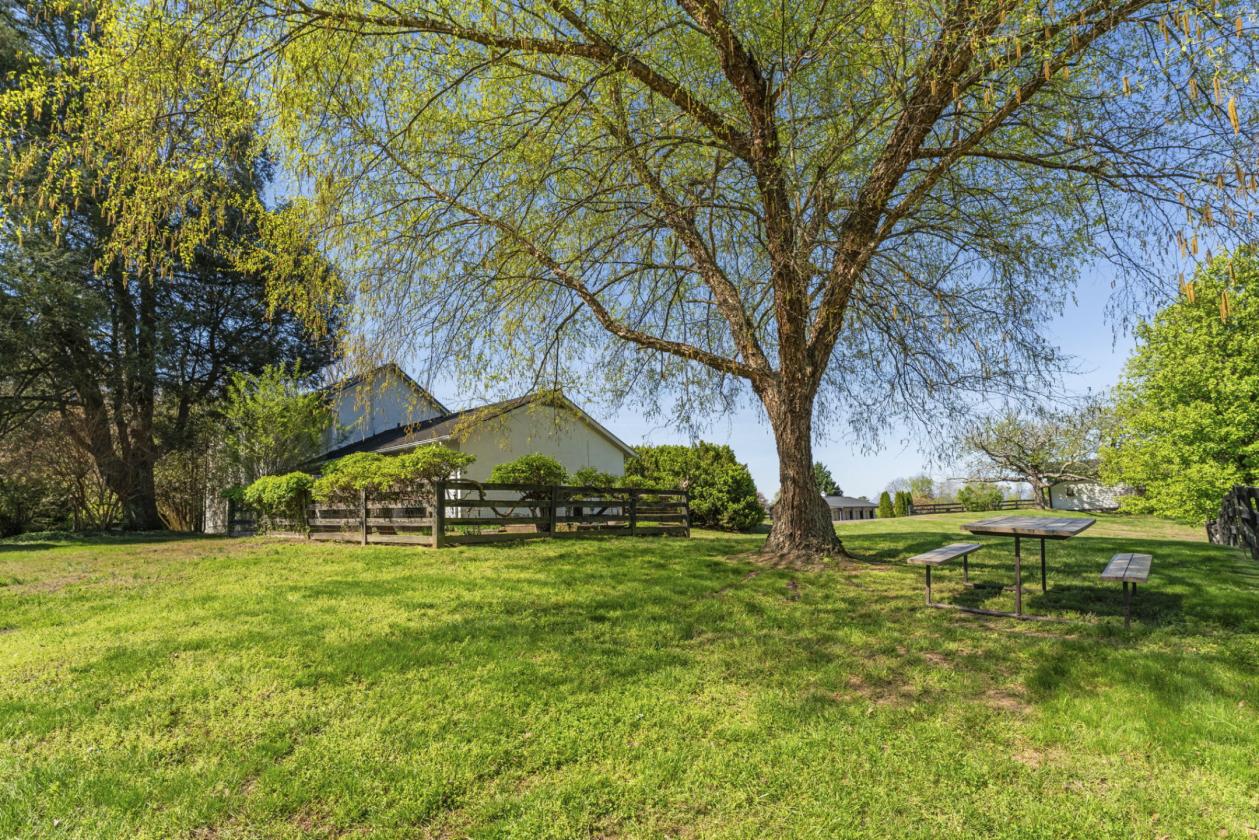 Equestrian Dream: Arenas, Homes & Charm - photo 30
