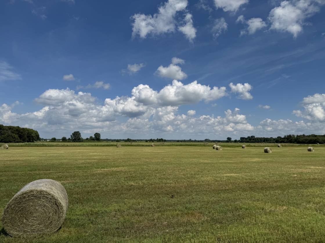 Horse Property for sale.