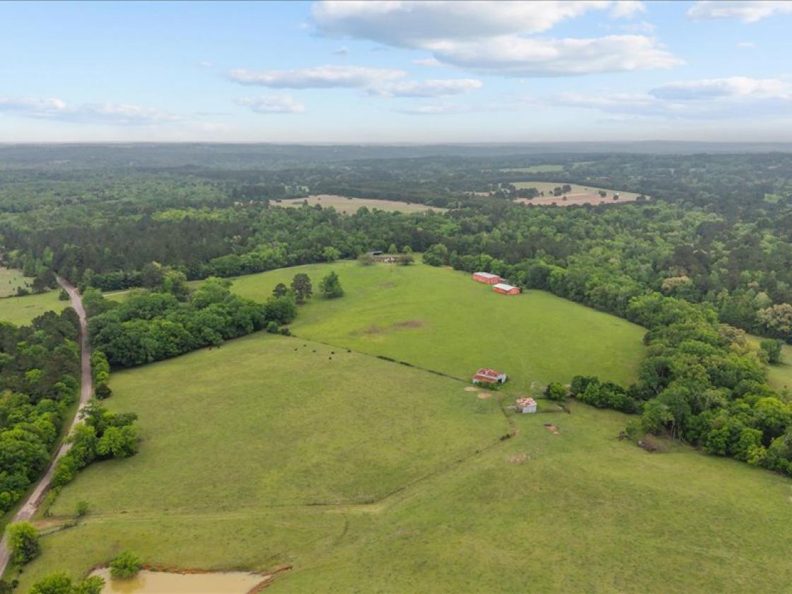 Horse property with breathtaking views - photo 27