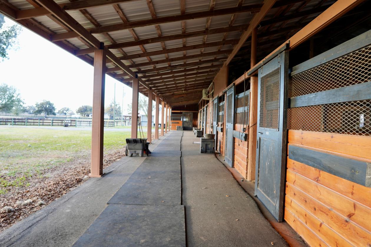 A picture-perfect equestrian estate - photo 20