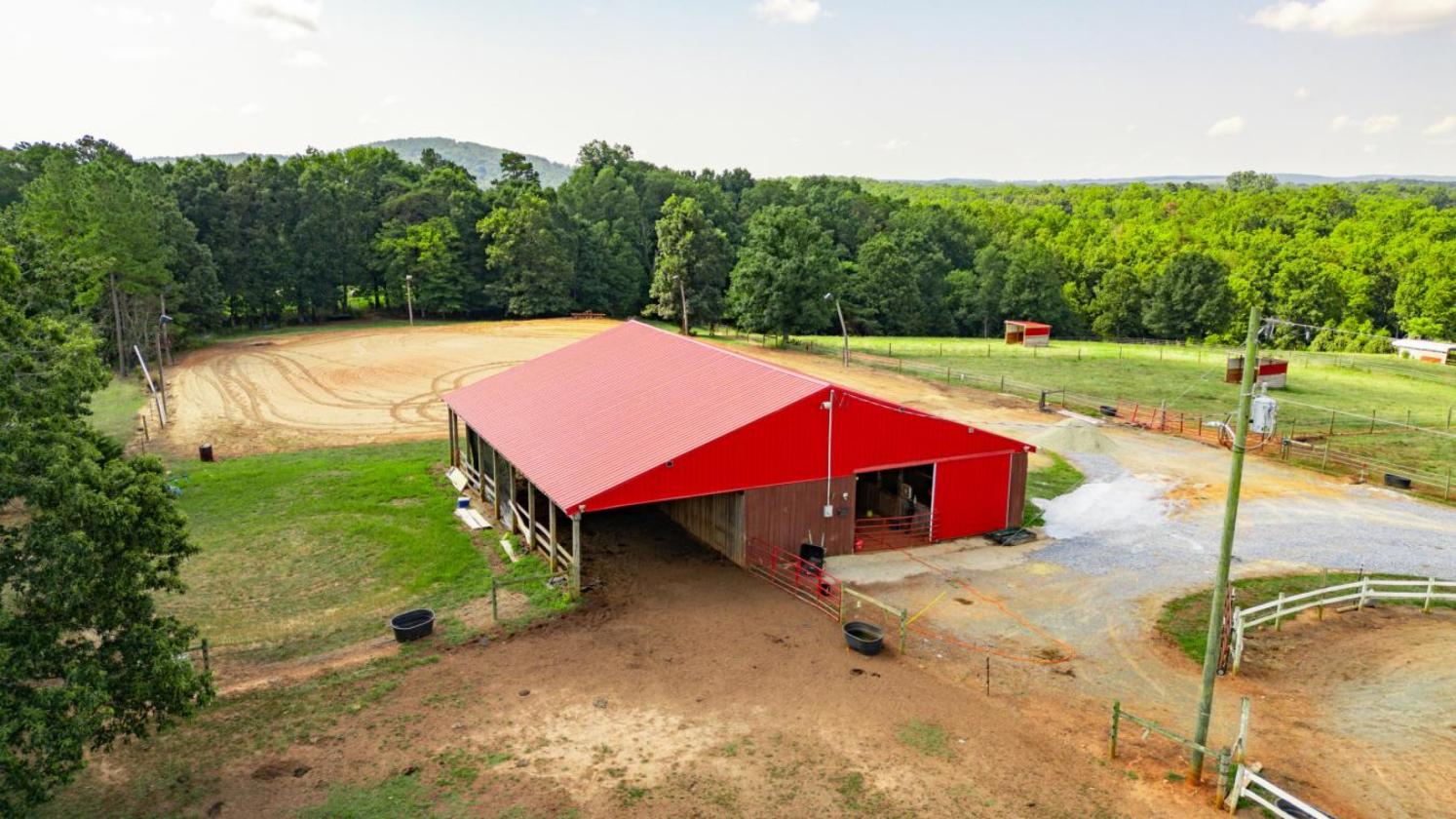 Where Equestrian Dreams Meet Reality - photo 2