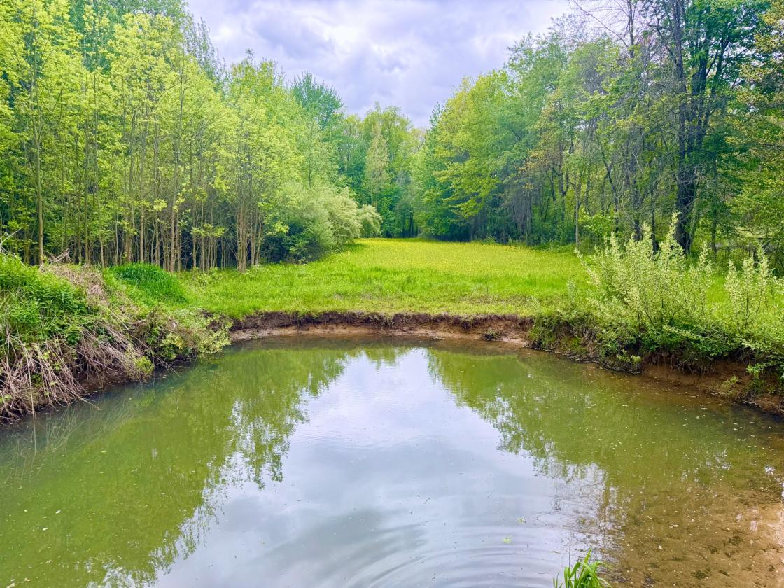 60Acres Equestrian Land with Scenic Trails - photo 12