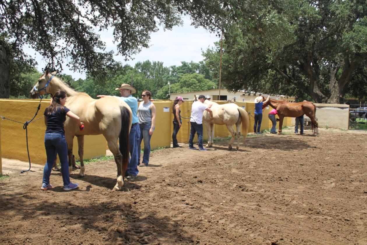 98± Acre Farm & Ranch North of San Antonio - photo 13